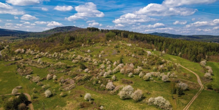 Kopec Vystrkov v Brdech je přírodní památkou