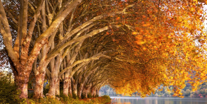 Teplotní rekordy dnes padly na polovině stanic