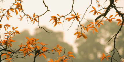Babí léto vydrží do soboty, v neděli se citelně ochladí