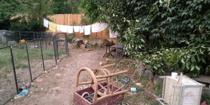 Chovatelka z Lázu se nevhodně starala o 34 psů, skončili v útulcích