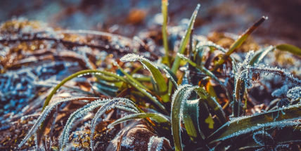 Dnes ráno na řadě míst opět mrzlo, středeční ráno má být nejchladnější v týdnu