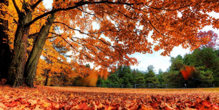 Na víkend se oteplí, bude ale zataženo