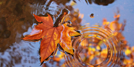 V Česku bude dál nadprůměrně teplo, od úterý se čekají přeháňky a déšť