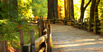 Čeká nás podzimní týden s přeháňkami a mírným ochlazením
