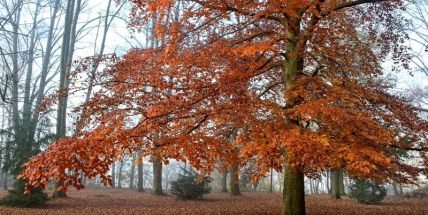 V městské knihovně v Sedlčanech je otevřena výstava fotografické soutěže, účastní se jí i Fotoklub Uran