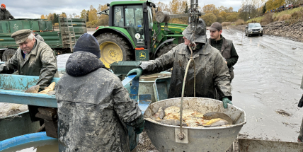 Z Padrťského rybníka rybáři vedle kaprů vylovili i velké štiky a candáty