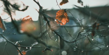 Na víkend se ochladí a bude pršet. Teplejší počasí se vrátí příští týden, očekávají meteorologové