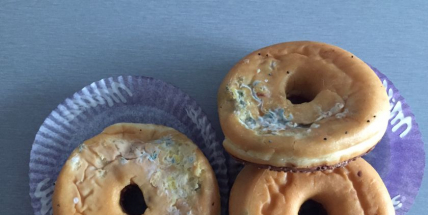 Hnus v regálu. Toto lze koupit v příbramském supermarketu