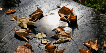 Teploty se uprostřed tohoto týdne propadnou k nule, pak se zase oteplí