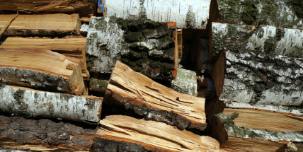 Vojenské lesy a statky nepředpokládají růst cen palivového dříví