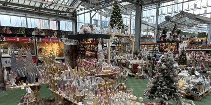 V OBI zakoupíte nejen vánoční stromky, hobbymarket nabízí největší sortiment vánočních dekorací