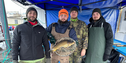 V Příbrami odstartoval prodej vánočních kaprů