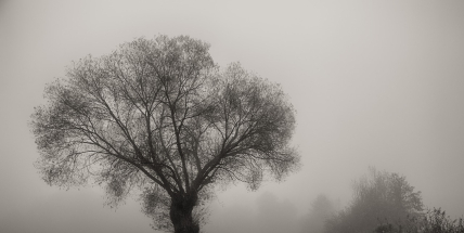 Jaké počasí bude v lednu? Meteorologové zveřejnili dlouhodobou předpověď