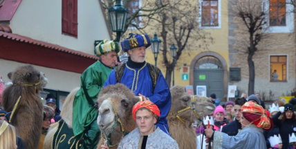 I letos do Příbrami přijedou Tři králové na živých velbloudech