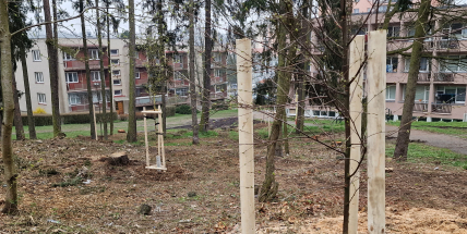 O participativních rozpočtech rozhodnou lidé v Dobříši nebo Sedlčanech, Příbramští se letos nezapojí