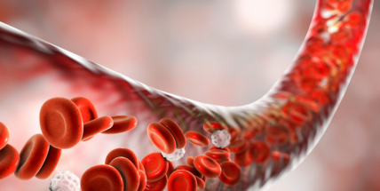 Nových případů HIV v ČR meziročně ubylo, polovinu tvoří cizinci
