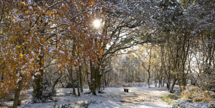 Jaké počasí bude do konce února? Meteorologové zveřejnili dlouhodobou předpověď