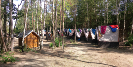 Tábor ve Stěžově sokolové stále vylepšují, na letošní léto už mají téměř plno