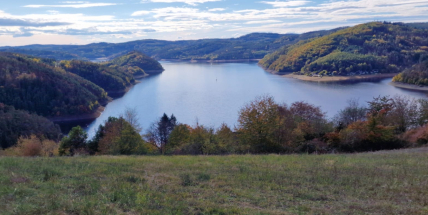 ČHMÚ: Začátek února byl v Česku nejteplejší za více než 100 let