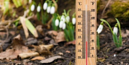 Ve středních Čechách padl teplotní rekord v Průhonicích, naměřili tam 13,5 stupně