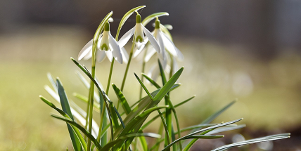 Ve středních Čechách dnes padly teplotní rekordy na třech místech