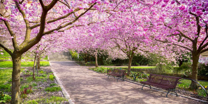 Jaké počasí bude do konce března? Meteorologové zveřejnili dlouhodobou předpověď