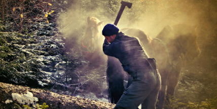 VLS zvou do Brd na druhý ročník soutěže tažných koní v reálném lesním terénu