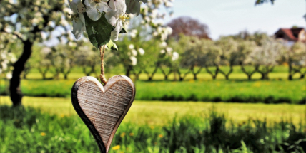 Ve středu začíná astronomické jaro, v dalších dnech tomu bude odpovídat i počasí