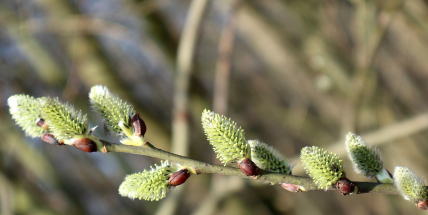 Nový teplotní rekord pro 29. březen má 12 míst v ČR, bylo i přes 20 stupňů