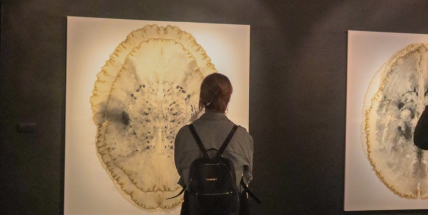 Petr Nikl provede svou výstavou v příbramské galerii, na děti čeká výtvarná dílna