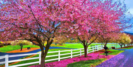 Jaké počasí bude do konce dubna a začátkem května? Meteorologové zveřejnili dlouhodobou předpověď