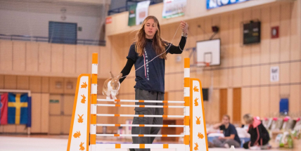 Králičí hop míří do Příbrami