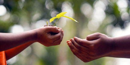 Den Země oslaví akce v Dobříši a Příbrami