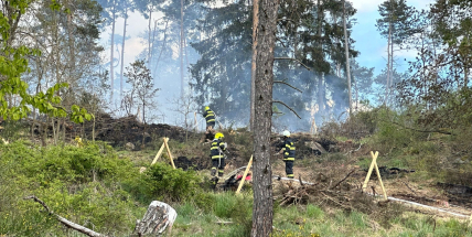 Sedm jednotek hasičů likviduje na Příbramsku požár lesa