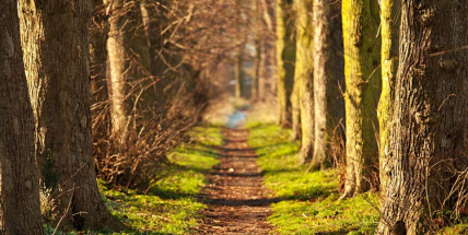 Jaké počasí bude v květnu? Meteorologové zveřejnili dlouhodobou předpověď