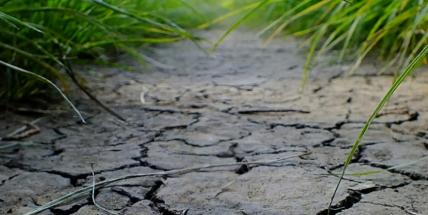 Postupující sucho působí zemědělcům čím dál větší potíže
