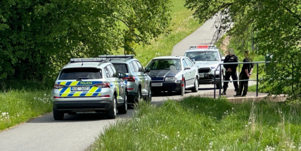 Mladík bez řidičáku ujížděl v Příbrami policistům, zastavily ho až výstřely