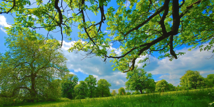 Jaké počasí bude do konce května a začátkem června? Meteorologové zveřejnili dlouhodobou předpověď