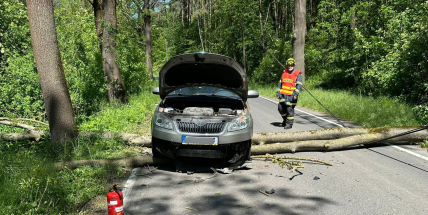 Na Příbramsku bude ve čtvrtek hodně foukat, dál hrozí šíření požárů