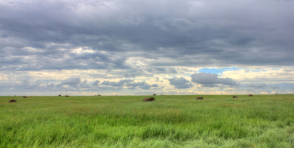 Do Česka přijdou i trvalejší srážky, teploty budou dál převážně nad 20 stupni