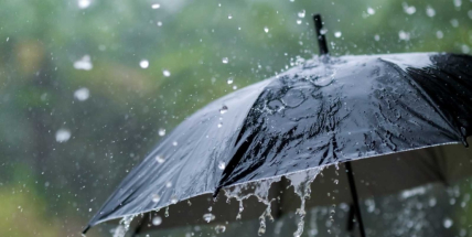 Týden poznamená oblačnost provázená deštěm