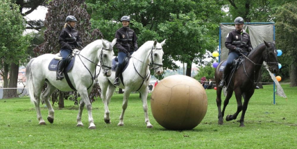 Den bezpečné Příbrami předvede práci záchranných složek