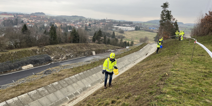 Dálnici D4 budou lemovat divoké louky, s výsevem pomáhali i skauti
