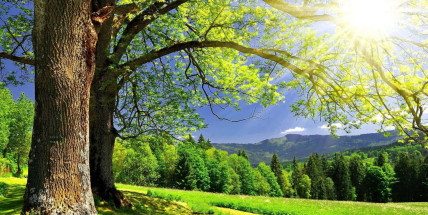 Jaké počasí bude do konce června? Meteorologové zveřejnili dlouhodobou předpověď