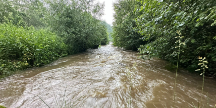 Hasiči v ČR měli od pátku do pondělí kvůli bouřkám přes 1200 zásahů