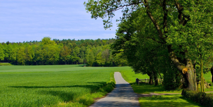Jaké počasí bude do konce června a začátkem července? Meteorologové zveřejnili dlouhodobou předpověď