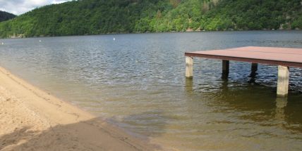 Orlická přehrada je už teď zamořena sinicemi. A bude nejspíš hůř. Kde se můžete vykoupat?