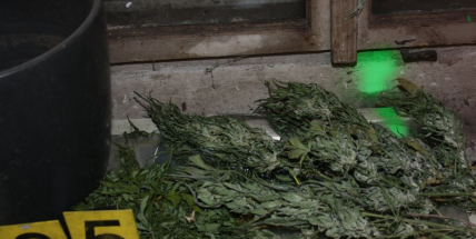 Pod senem schovával 8 kilo marihuany