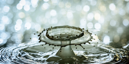 Voda na vodě: Císař je nahý a Příbram v koutě, zaznělo na zastupitelstvu