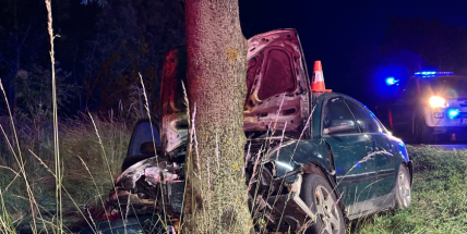 Řidiče u Zalužan mělo oslnit protijedoucí auto, havaroval do stromu